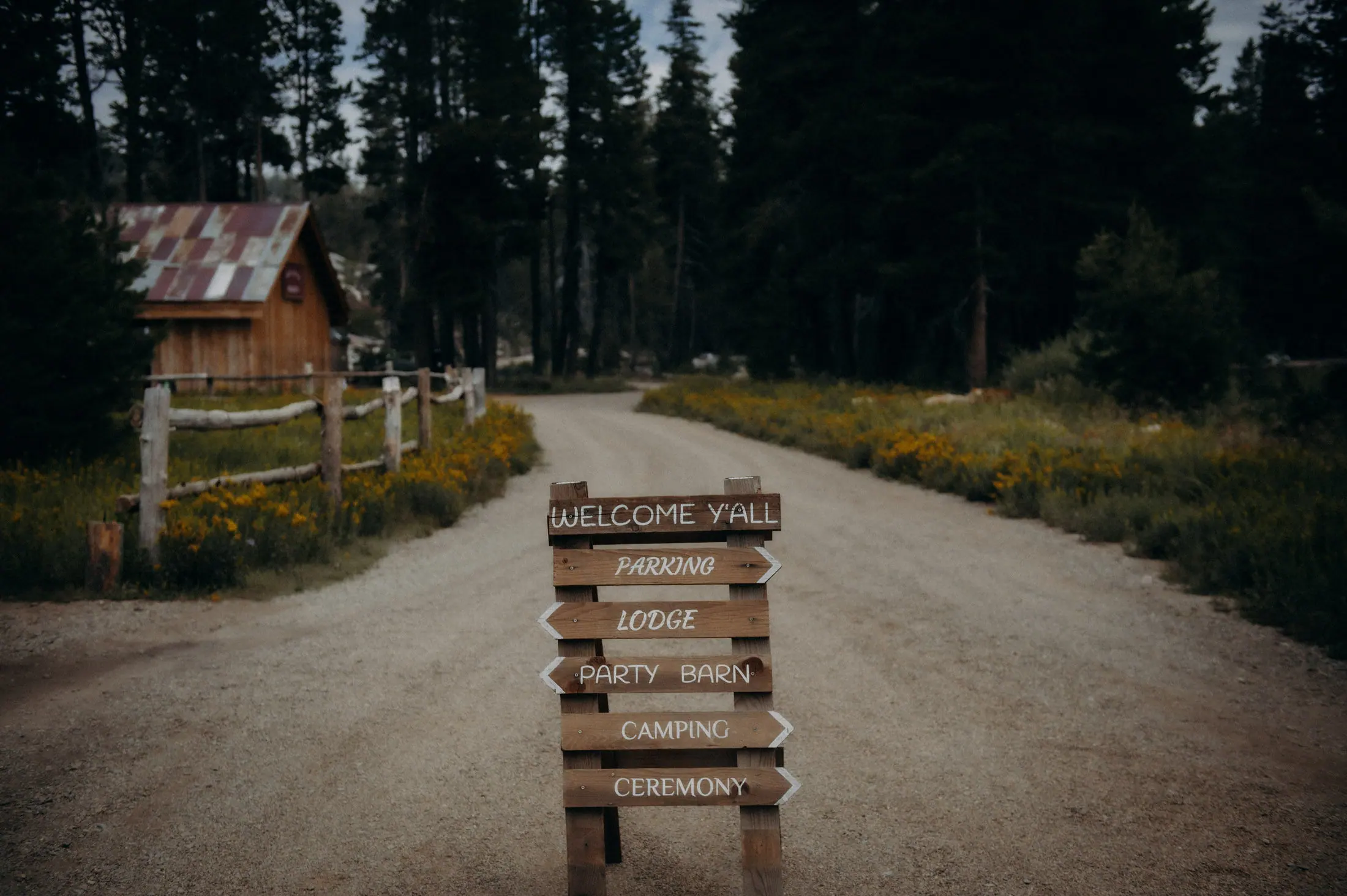 The Land — 19 of 20