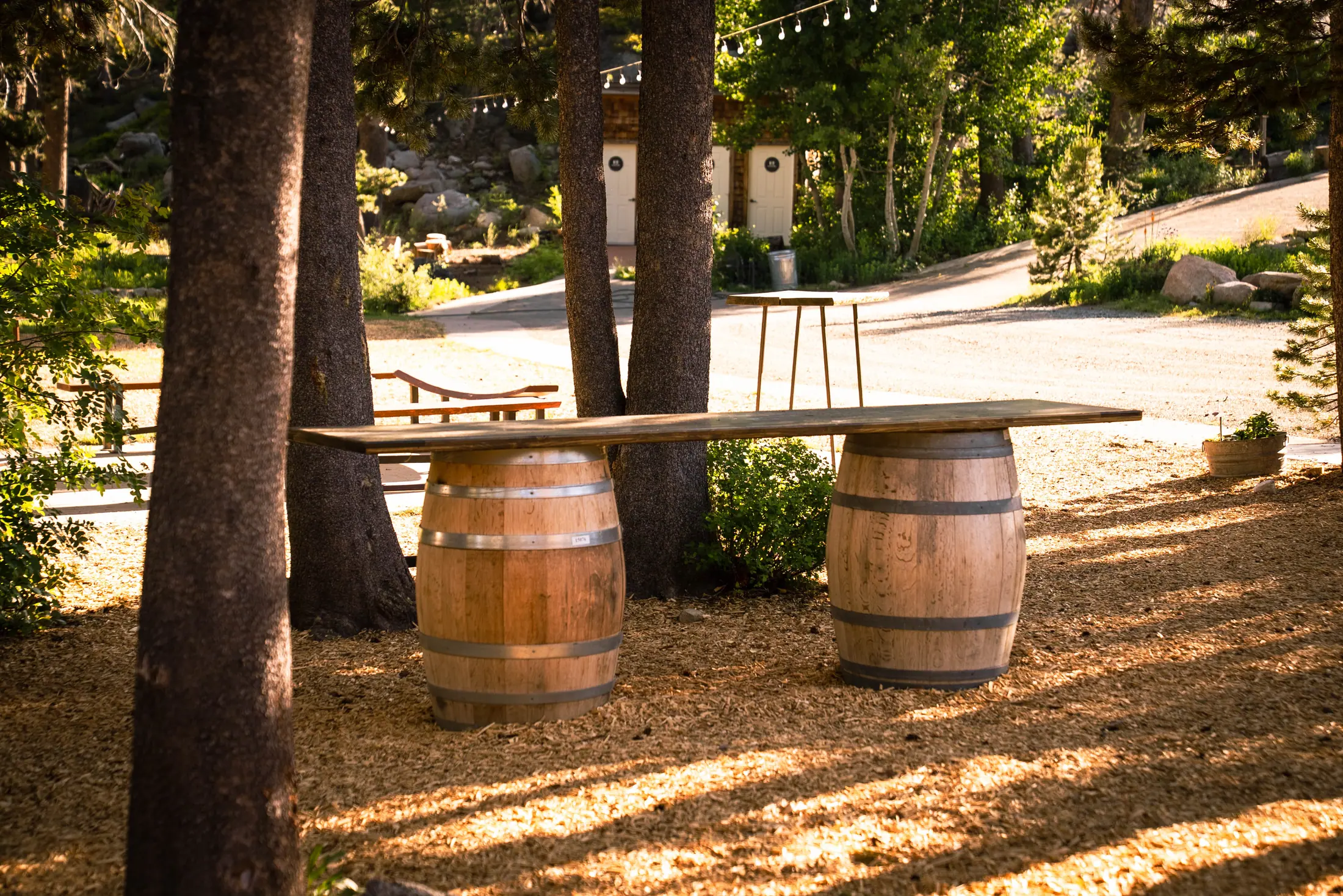 The Reception Ground — 13 of 38